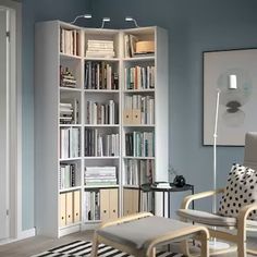 a living room filled with furniture and a book shelf