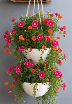 three hanging flower pots filled with pink and orange flowers on a gray wall next to a clock