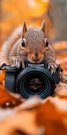 a squirrel sitting on top of a camera in the leaves with it's eyes wide open