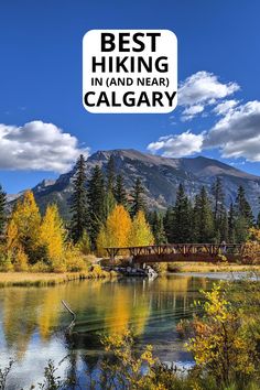 Yellow larch trees along Bow River in Canmore Alberta on a sunny autumn day; text: Best hiking in (and near) Calgary. Alberta Hikes, Canada Bucket List, Lake Louise Canada, Canada Vacation, Johnston Canyon, Hiking Map, Hill Park, Island Park, River Trail