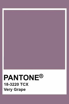 pantone's purple color is shown with the white square in the bottom corner