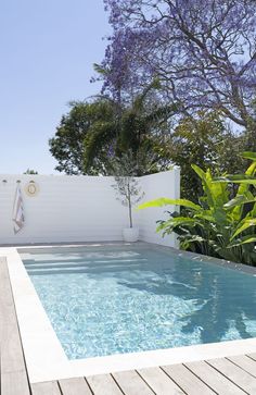 an empty swimming pool in the middle of a wooden decked area with trees and bushes