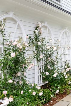 white roses are growing on the side of a house with arched windows and trelliss