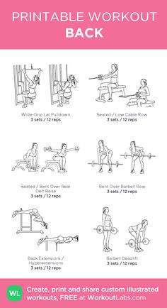 the printable workout guide for back and biceps