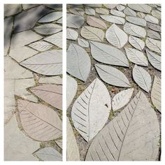 two photographs of leaves on the ground