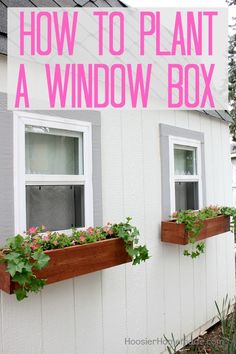 two window boxes with plants in them and the words how to plant a window box