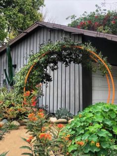 an outdoor garden with lots of plants and flowers