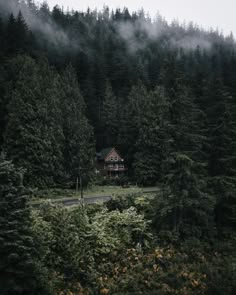 a house in the middle of some trees with fog coming from it's tops