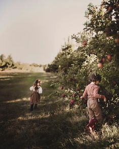 two children picking apples from an apple tree