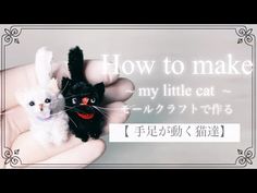 two small black and white kittens in their human's hands with the caption how to make my little cat