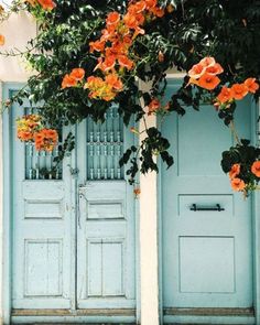 two blue doors with orange flowers on them