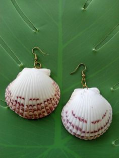 Introducing beach dangle drop seashell earrings, naturally vibrant and perfect for everyone! Each seashell is handpicked from the beaches and crafted into stunning pieces of jewelry that will elevate any outfit with their natural charm. Ideal for gifting to family and friends or for any special occasion.  Happy shopping! Ocean-inspired White Shell Earrings, Natural Color Drop Earrings For Vacation, Beachy Earrings For Beach Season Gift, Beach Dangle Earrings, Handmade Natural Shell For Vacation, White Shell Drop Earrings For Summer, Handmade White Beachy Earrings, Natural Dangle Beach Jewelry, Natural Color Dangle Jewelry For Beach