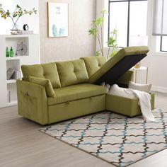 a living room with a green couch and white rug