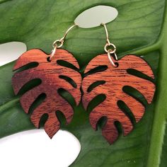 Monstera design earring made with Hawaiian Koa Wood. These earrings are laser cut and handmade on O'ahu. Hawaiian Koa Earring is lightweight and easy to wear. The length is measured from the top of the hook. For the large one, it is finished with 14k Gold filled or Sterling Silver Coil Ball Earring Hooks. For the small one, we used 14k Gold filled or Sterling Silver Shepherd Earring Hooks.  Please note the color you want.  We repurpose the left over, discarded, or scrap koa from various woodshop Koa Wood, Gold Filled Earrings, Wood Earrings, Handmade Earrings, Sterling Silver Earrings, Gold Filled, Silver Earrings, Jewelry Earrings Dangle, Etsy Earrings