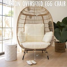 an egg chair sitting in front of a window next to a potted plant