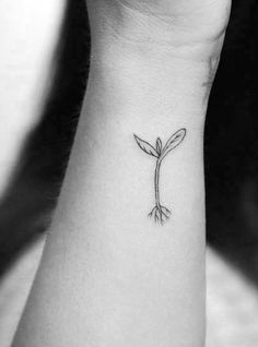 Nutrition Tattoo Ideas, Seedling Tattoo, Seeds Tattoo, Sprout Tattoo, Vegetable Tattoo, Chef Tattoo, Roots Tattoo, Tattoo Plant