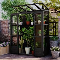 there are many potted plants in the small greenhouse on the patio, including cacti and succulents