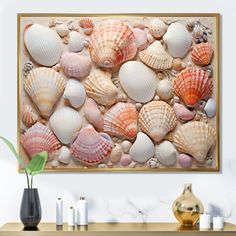 there are many seashells on the wall in this room