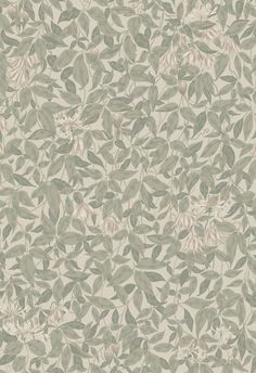 an old wallpaper with leaves and flowers on the side, in shades of green