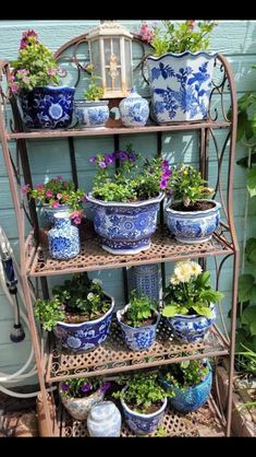 a shelf filled with lots of potted plants