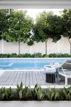 an empty swimming pool surrounded by trees and plants