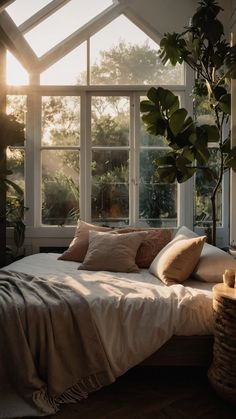 a bed sitting under a window next to a potted plant in front of it