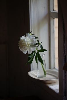 a vase with flowers in it sitting on a window sill next to a plate