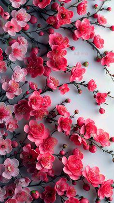 pink flowers are arranged on the wall in this artistic photo, and it looks like they're blooming