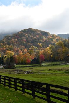 a fence in front of a lush green field with trees on the hill behind it