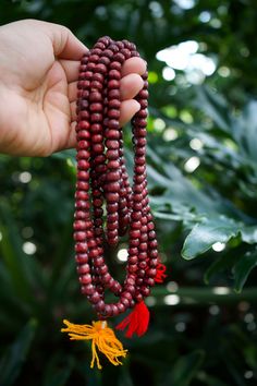 Burgundy Red Wooden Rondelle Mala from Nepal, 108 beads / Meditation Prayer Beads, Yoga Accessories, Yogi / Wooden Beads, Supplies Tibetan Prayer Beads, Buddhist Rosary, Male Yoga, Mermaid Bag, Beads Rosary, Rosary Prayer, Rich Burgundy, Magical Jewelry, 108 Bead