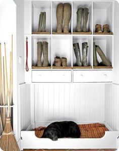 a black dog laying on top of a bed in front of a book shelf filled with boots