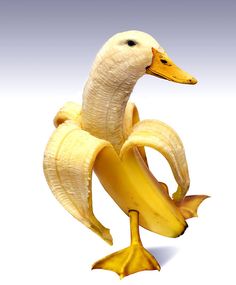 a banana shaped like a duck sitting on top of it's back legs