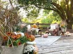 an outdoor deck with potted plants and pumpkins