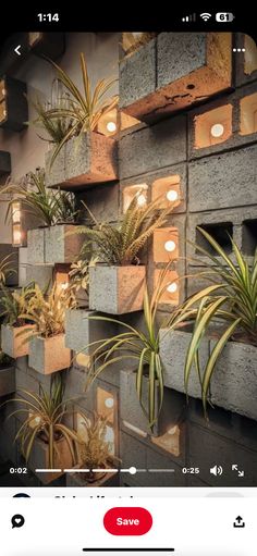 an instagram page with plants and lights on the wall in front of some concrete blocks