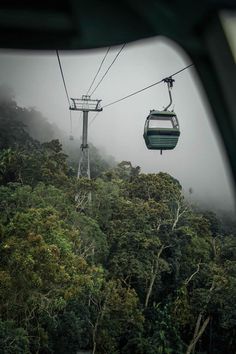 a gondola in the middle of trees on a foggy day