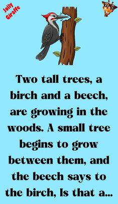 two tall trees, a bird and a beech are growing in the woods