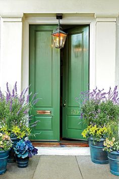 two green doors and three blue flower pots