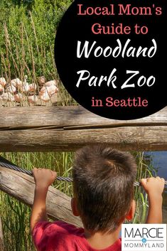 a young boy is looking at the water from behind a wooden fence with text overlay that reads local mom's guide to woodland park zoo in seattle in seattle