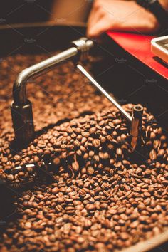 coffee beans being roasted in a roaster