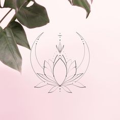 a drawing of a lotus flower on a pink background with the outline of a plant