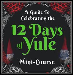 a book cover with the title 12 days of yule mini - course on it