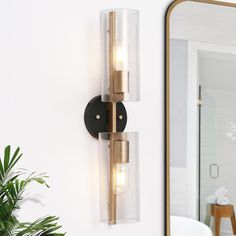 a bathroom light with two lights on the wall and a potted plant next to it