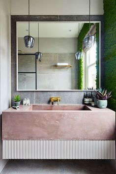 a bathroom sink sitting under a large mirror next to a window with plants growing on it