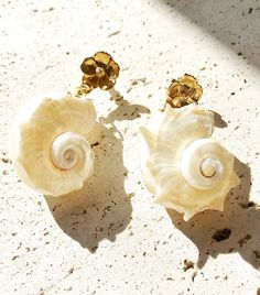 Sea Shell Earrings, Shell Earrings, Seashell Earrings, Gift for Women, Gift for Her, Bridesmaid Gifts, Shell Jewelry, Mother's Day Gift - Etsy Montenegro Elegant Shell Drop Earrings As Gift, Elegant Shell Drop Earrings For Gift, Gift Shell-shaped Mother Of Pearl Earrings, Elegant Drop Shell Earrings As A Gift, Handmade Shell Earrings For Wedding, Elegant Shell Drop Earrings, Ocean-inspired Shell Earrings For Gifts, Ocean-inspired Shell Pearl Earrings For Gift, Ocean-inspired Shell Pearl Earrings Gift