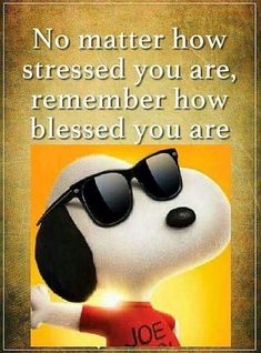 ❤️❤️❤️ Peanuts Quotes, Charlie Brown Quotes, Snoopy Funny, Snoopy Quotes, Snoopy Pictures, Joe Cool, Snoopy Love, Charlie Brown And Snoopy, Peanuts Gang