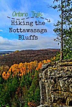 the top of a cliff with trees in the background and text that reads ontario trails hiking the nottawasaga bluffs