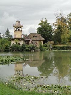 a pond with lily pads in the foreground and a building on the other side