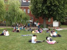 a group of people sitting on top of a lush green field next to a tree