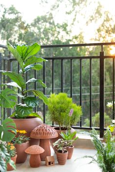 there are many potted plants on the balcony