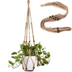 a potted plant hanging from a rope with beads